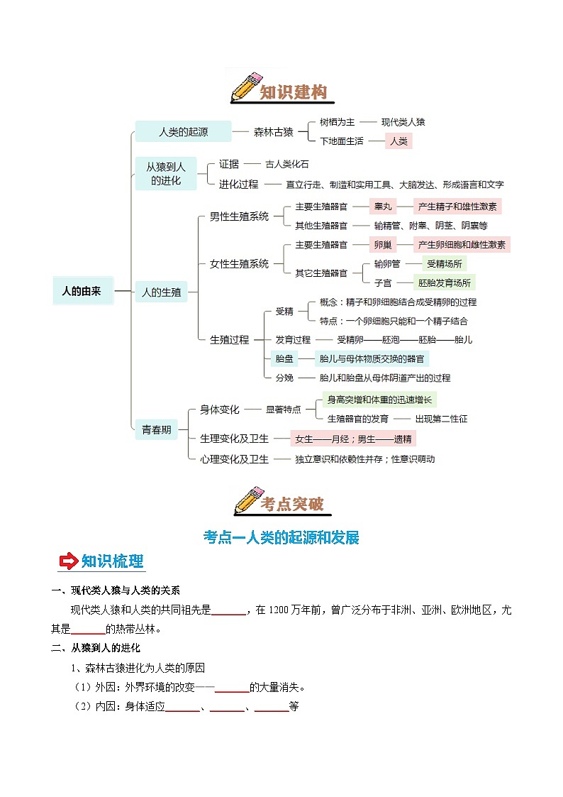 专题09 人的由来(讲义)-2025年中考生物一轮复习(学生版)第2页