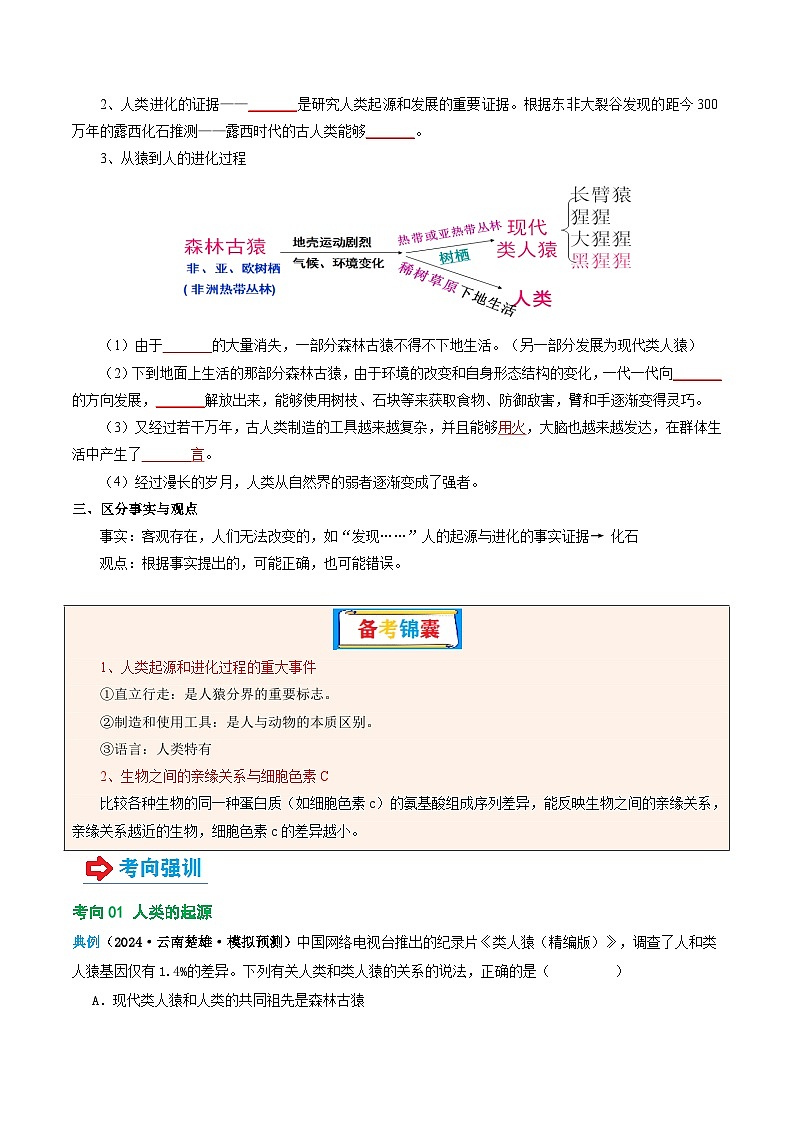 专题09 人的由来(讲义)-2025年中考生物一轮复习(学生版)第3页