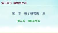 生物七年级下册（2024）植株的生长课文课件ppt