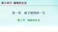 生物七年级下册（2024）植株的生长课文课件ppt