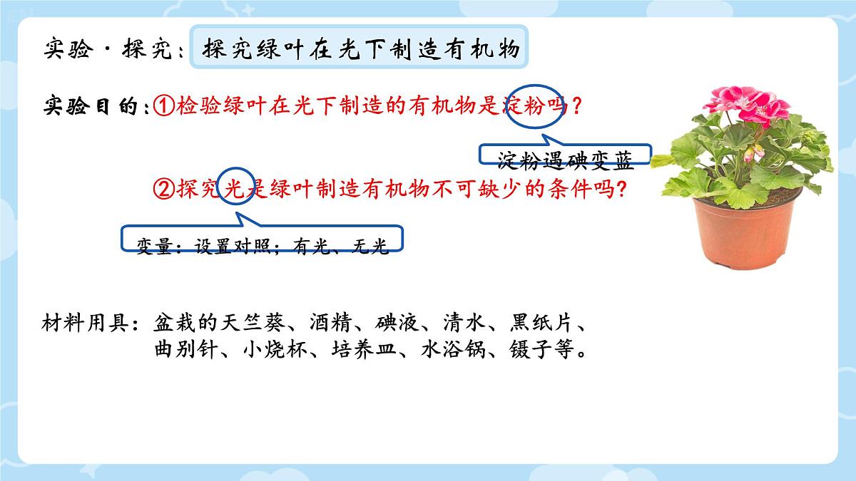 初中生物人教版(2024)七年级下册3.2.2 光合作用 课件第5页