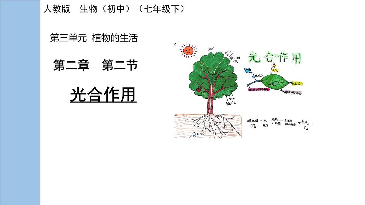 初中生物人教版(2024)七年级下册3.2.2 光合作用 课件第1页