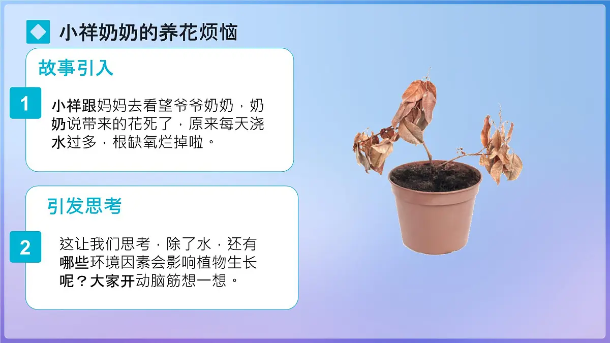 初中生物人教版(2024)七年级下册(2024)第三单元 植物的生活 第二章综合实践项目 栽培一种植物,探究所需的环境条件 课件第4页