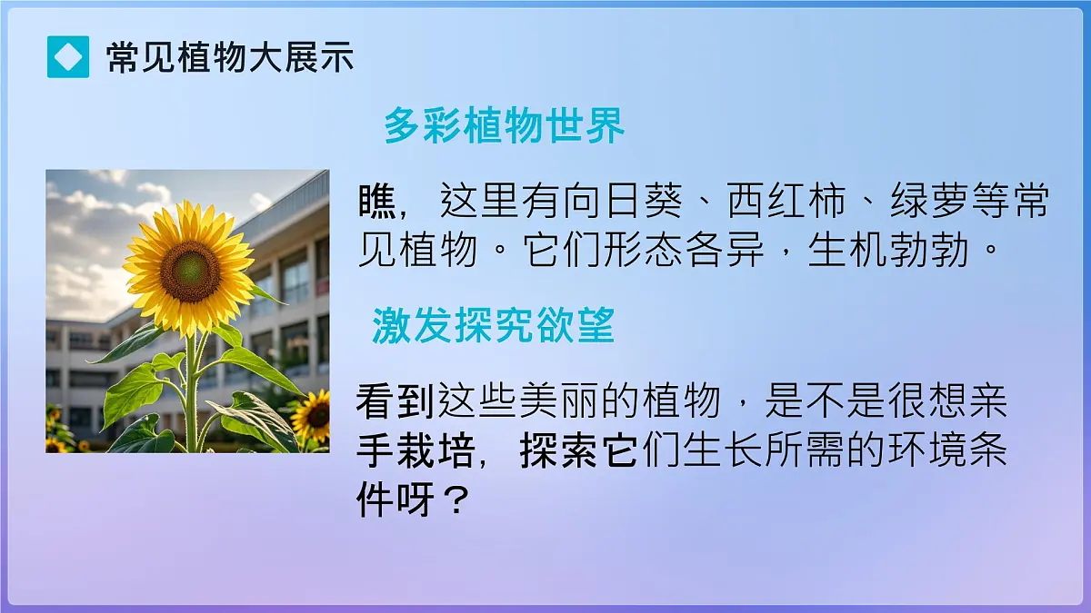 初中生物人教版(2024)七年级下册(2024)第三单元 植物的生活 第二章综合实践项目 栽培一种植物,探究所需的环境条件 课件第5页