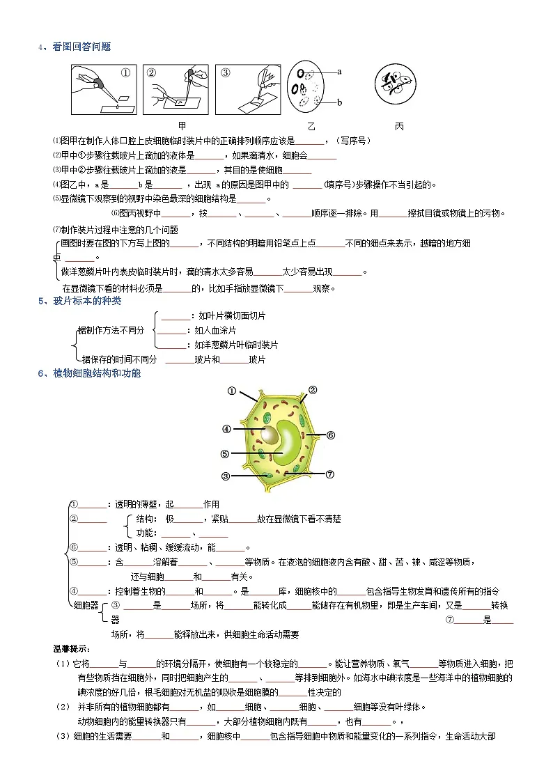 2025年人教版八年级下册会考生物知识梳理知识点讲义专题02 生物体的结构层次(填空版)第2页