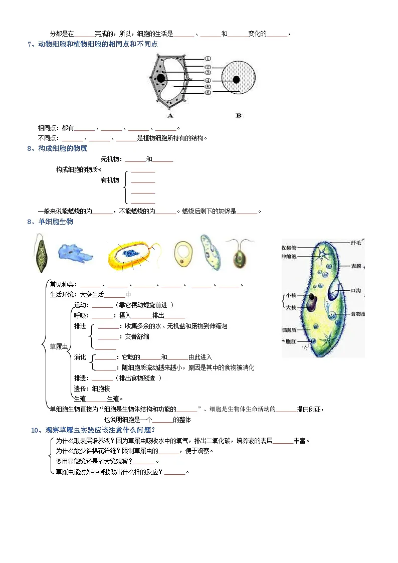 2025年人教版八年级下册会考生物知识梳理知识点讲义专题02 生物体的结构层次(填空版)第3页
