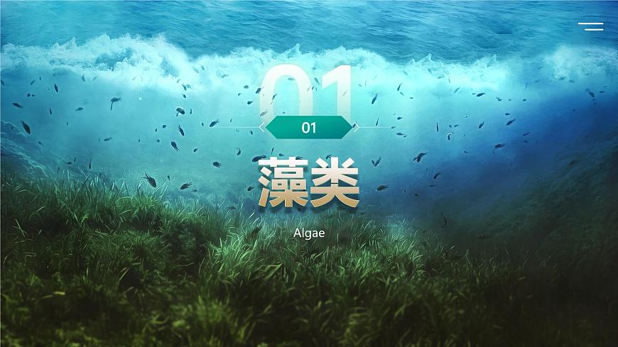人教版2024七年級上冊生物2.1.1藻類、苔蘚和蕨類 課件第4頁