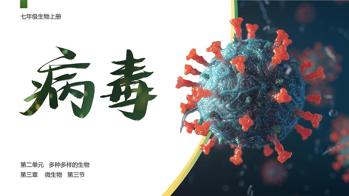 人教版2024七年级上册生物2.3.4 病毒 课件第1页