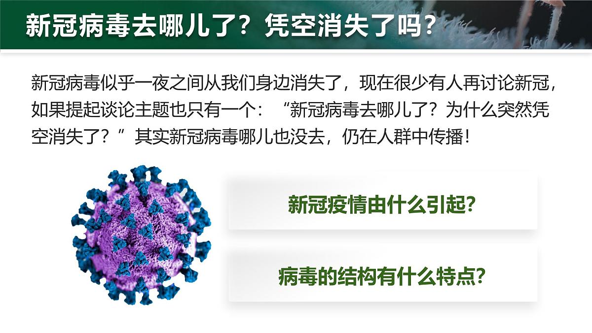 人教版2024七年级上册生物2.3.4 病毒 课件第2页