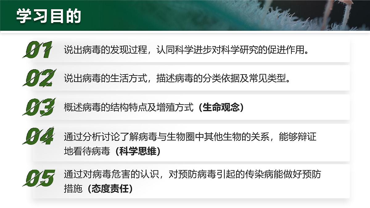 人教版2024七年级上册生物2.3.4 病毒 课件第3页