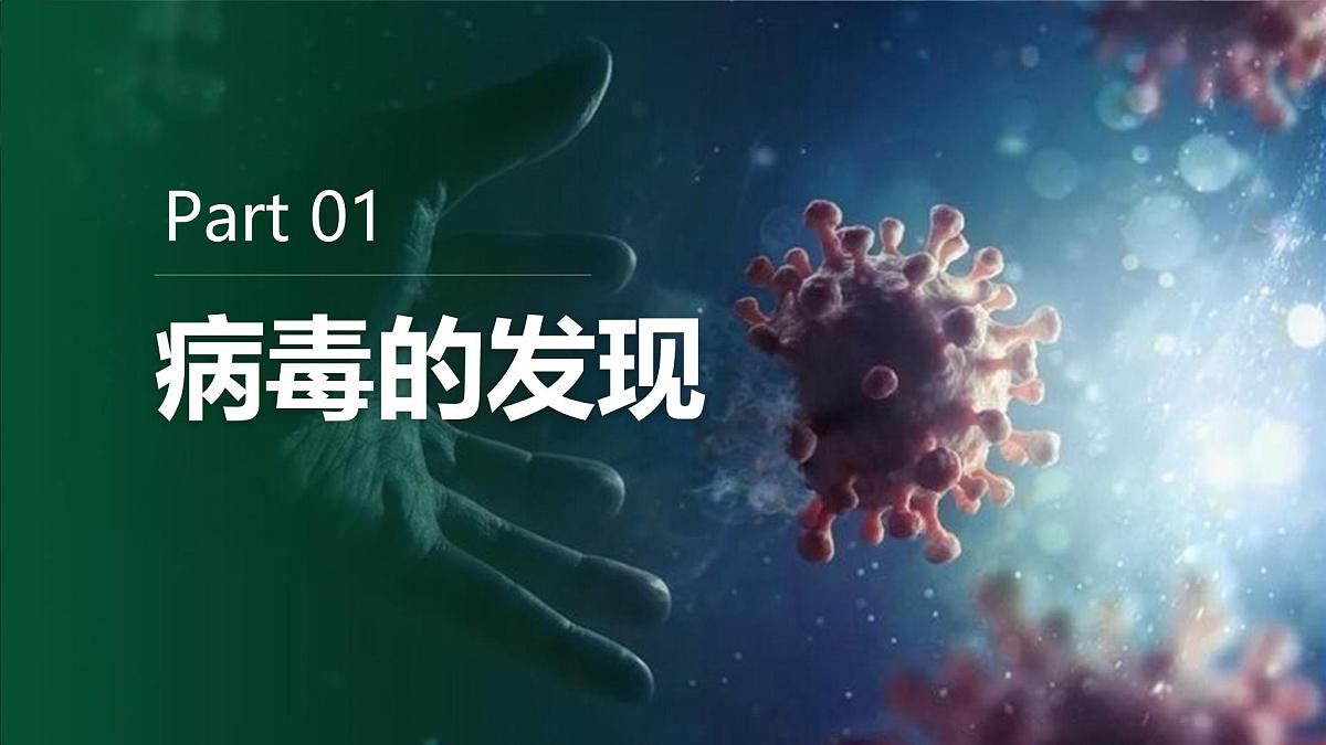 人教版2024七年级上册生物2.3.4 病毒 课件第4页