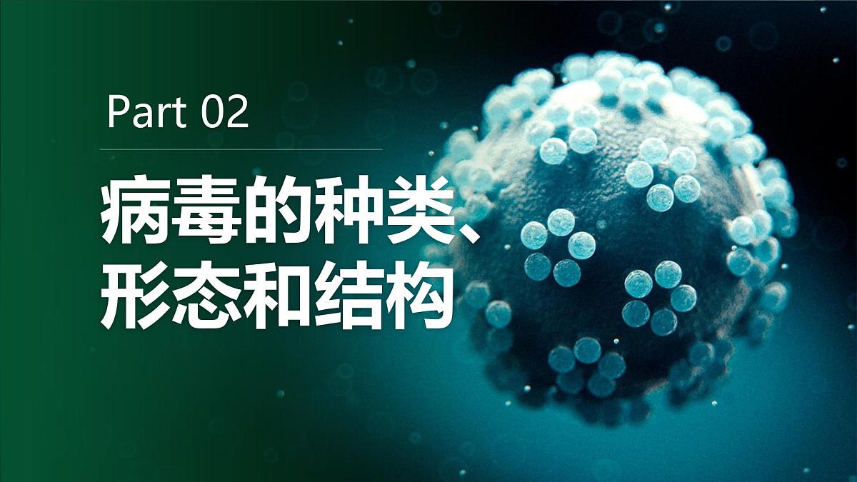 人教版2024七年级上册生物2.3.4 病毒 课件第8页