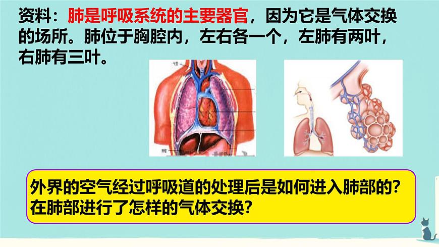 初中生物人教版(2024)七年级下册4.3.2 发生在肺内的气体交换 课件第2页