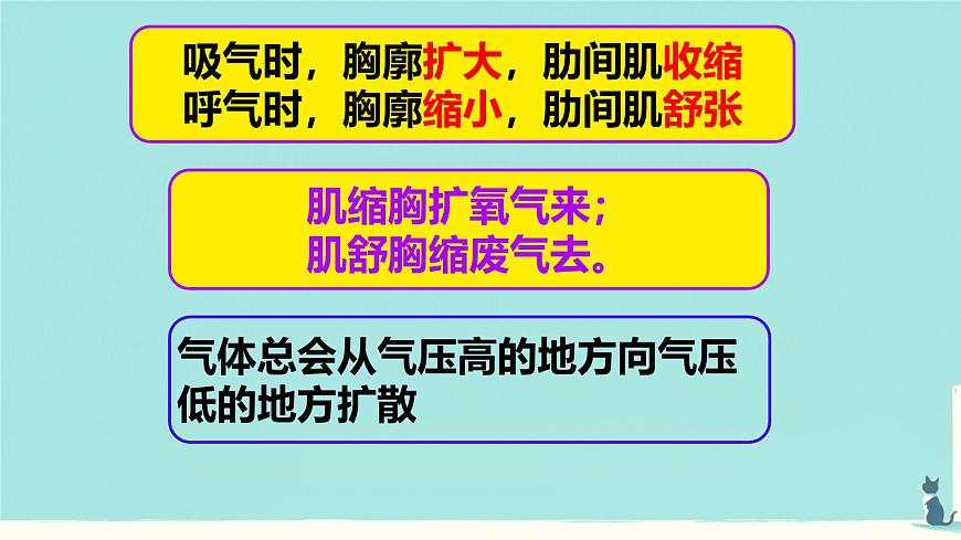 初中生物人教版(2024)七年级下册4.3.2 发生在肺内的气体交换 课件第7页