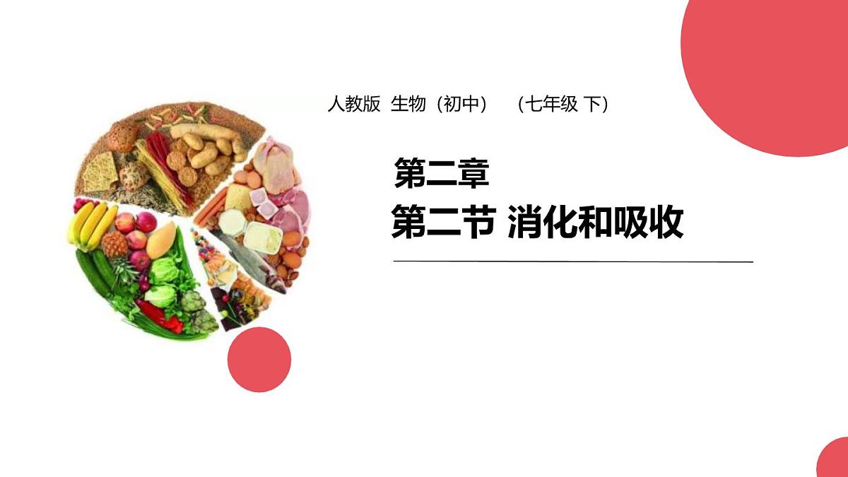 初中生物人教版(2024)七年级下册4.2.2 消化和吸收 课件第1页