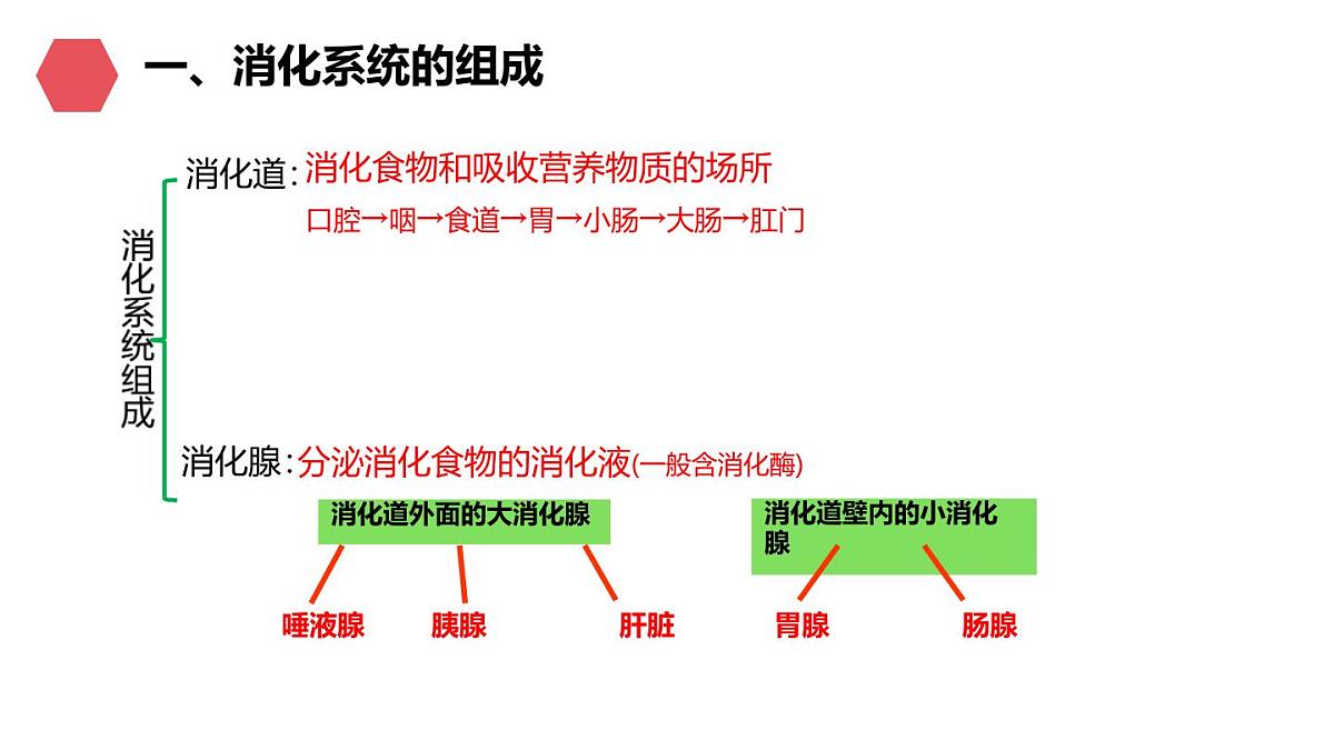 初中生物人教版(2024)七年级下册4.2.2 消化和吸收 课件第3页