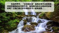 初中生物人教版（2024）七年级下册（2024）水的利用与散失教学演示ppt课件