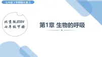第1章 生物的呼吸 2025学年七年级生物下学期期中考点大串讲（北京版2024）课件