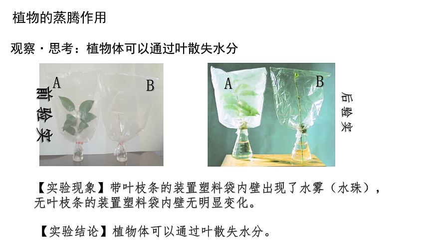 初中生物人教版（2024）七年級(jí)下冊(cè)3.2.1 水的利用與散失 課件第7頁(yè)