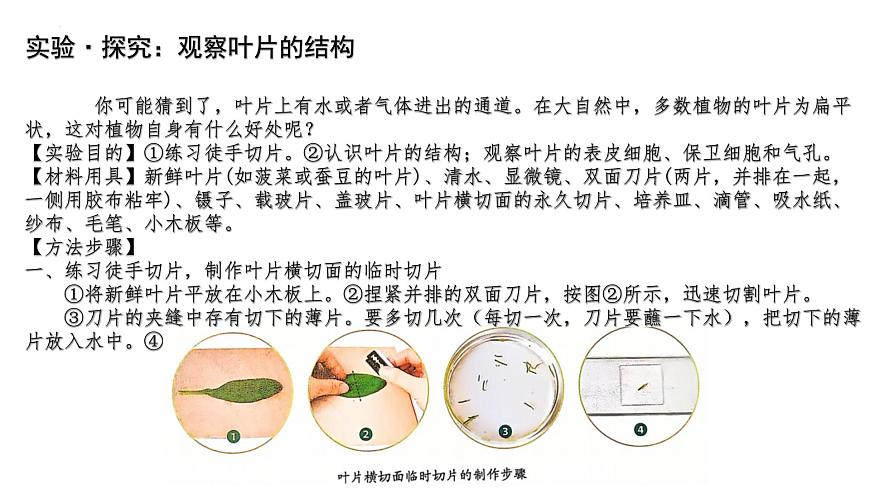 初中生物人教版（2024）七年級(jí)下冊(cè)3.2.1 水的利用與散失 課件第8頁(yè)