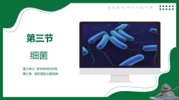 3.3.2 細菌（課件）-2024-2025學年六年級生物下冊（魯科版五四學制2024）