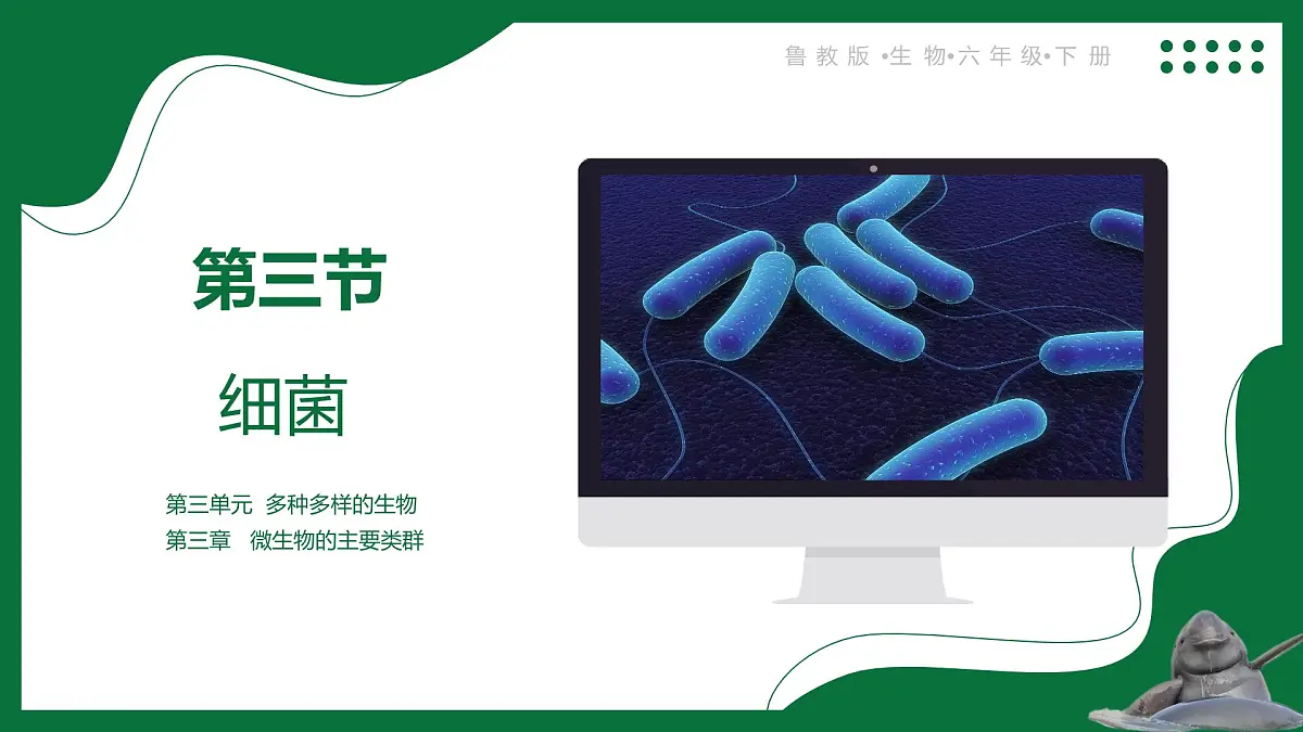 3.3.2 细菌(课件)-2024-2025学年六年级生物下册(鲁科版五四学制2024)第1页