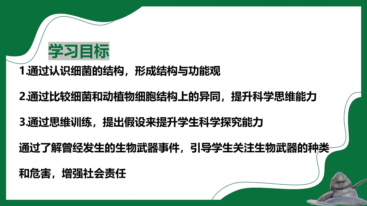 3.3.2 细菌(课件)-2024-2025学年六年级生物下册(鲁科版五四学制2024)第2页