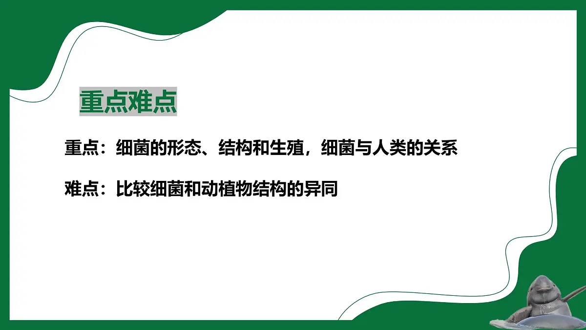 3.3.2 细菌(课件)-2024-2025学年六年级生物下册(鲁科版五四学制2024)第3页