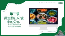 3.1 微生物在環(huán)境中的分布（課件）-2024-2025學年六年級生物下冊（魯科版五四學制2024）