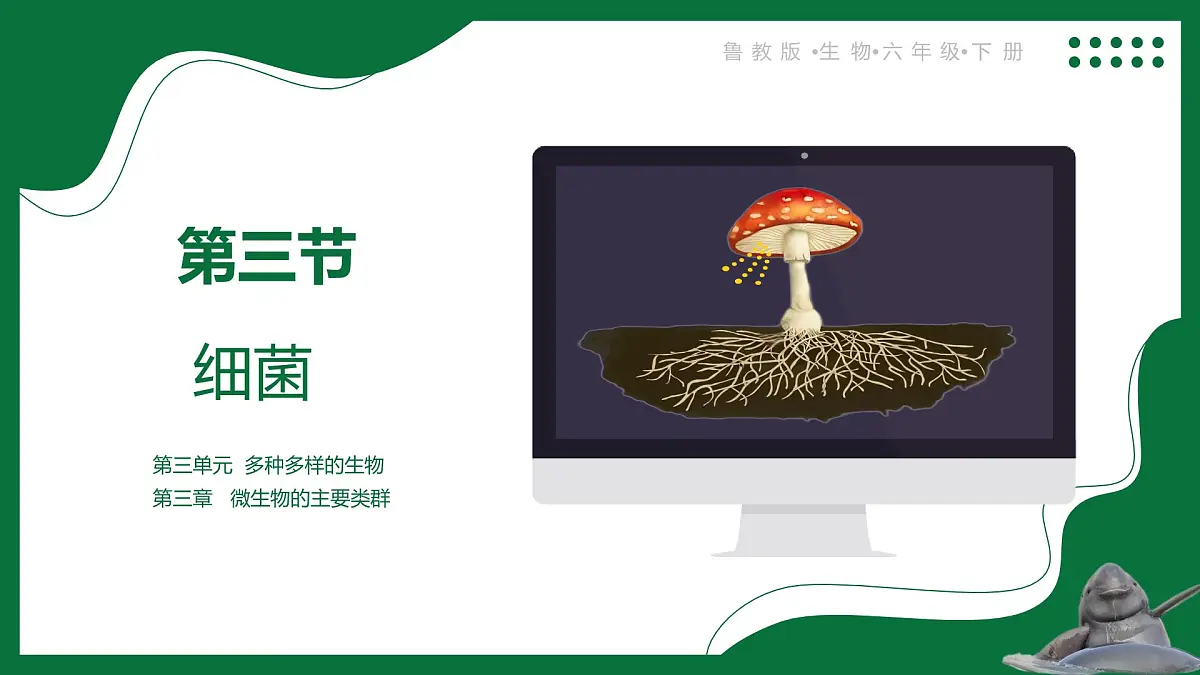 3.3 真菌(课件)-2024-2025学年六年级生物下册(鲁科版五四学制2024)第1页