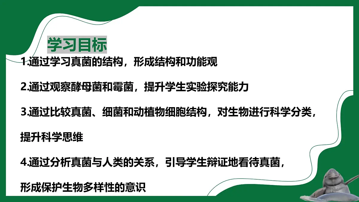 3.3 真菌(课件)-2024-2025学年六年级生物下册(鲁科版五四学制2024)第2页