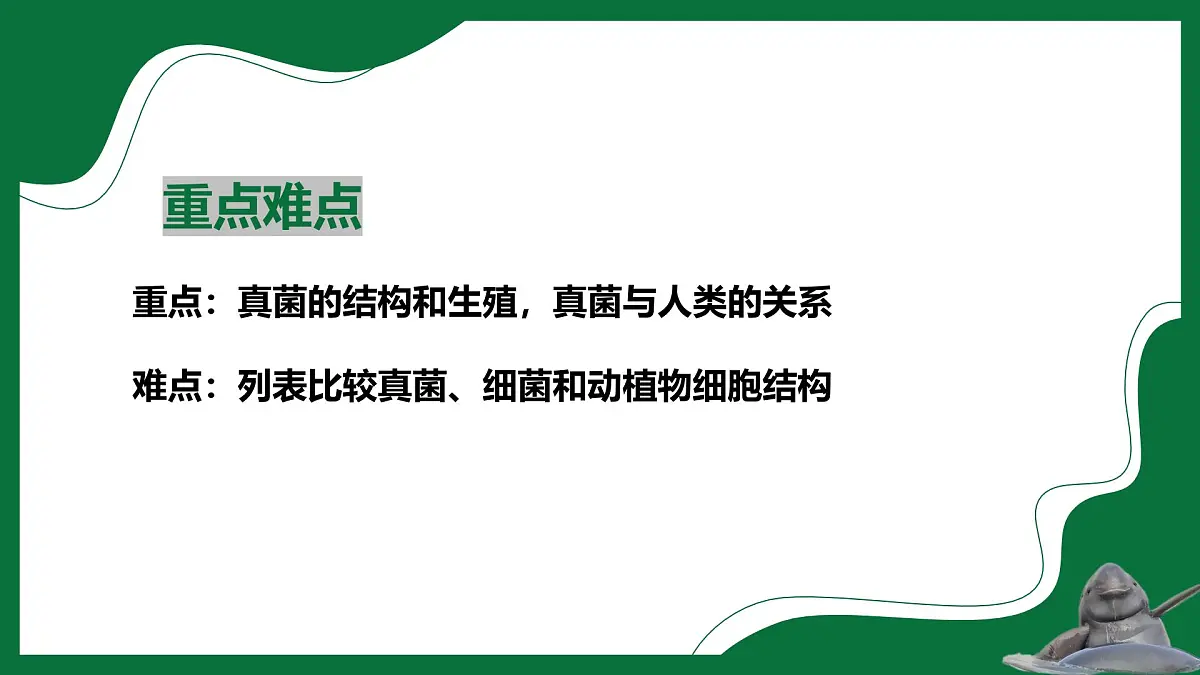 3.3 真菌(课件)-2024-2025学年六年级生物下册(鲁科版五四学制2024)第3页