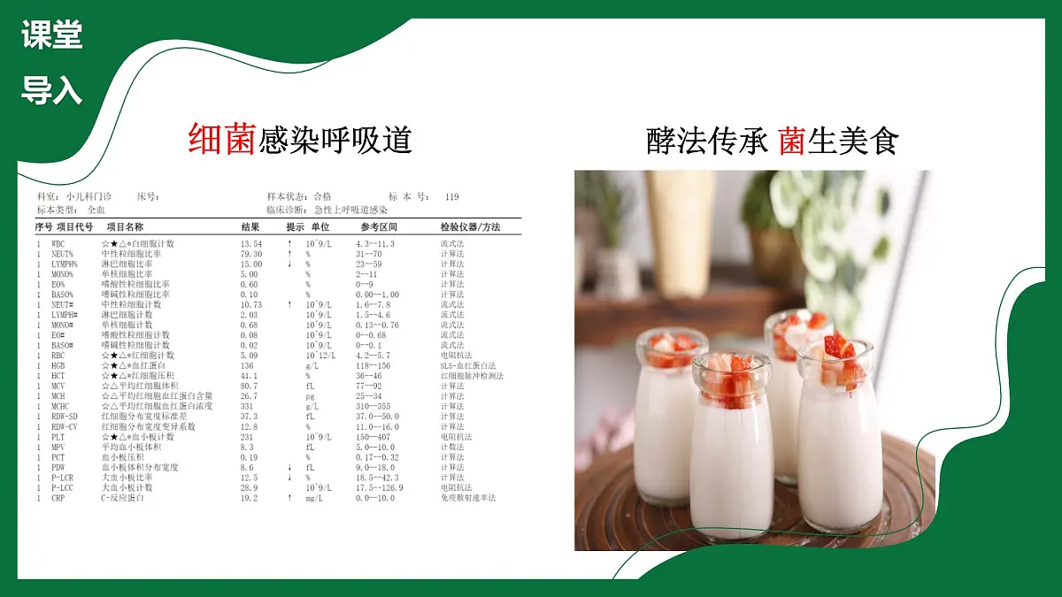 3.3 真菌(课件)-2024-2025学年六年级生物下册(鲁科版五四学制2024)第4页