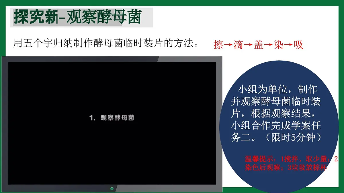 3.3 真菌(课件)-2024-2025学年六年级生物下册(鲁科版五四学制2024)第7页