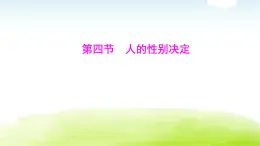 人教版八年級生物下冊第七單元第二章第四節(jié)人的性別決定課件