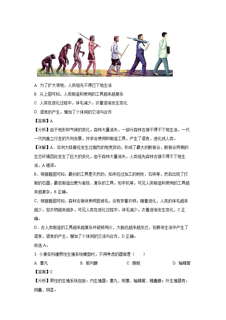 河南省南阳市方城县2023-2024学年七年级下学期期中生物试卷(解析版)第2页