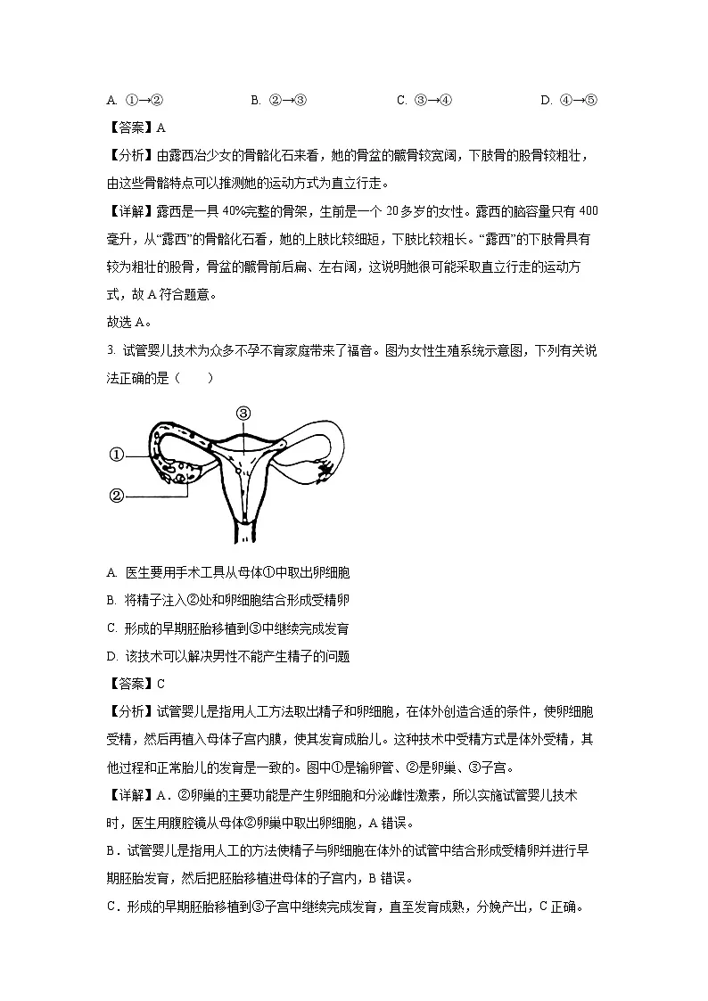 广东省深圳市龙华区2023-2024学年七年级下学期期中生物试卷(解析版)第2页