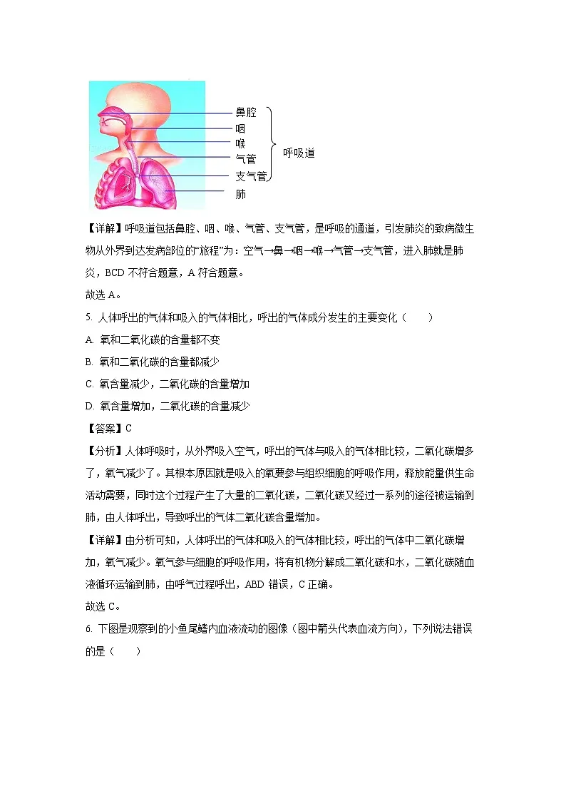 山东省枣庄市薛城区2023-2024学年七年级下学期期中生物试卷(解析版)第3页