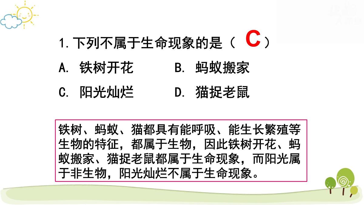 人教版七年级上册生物期末复习课件第3页