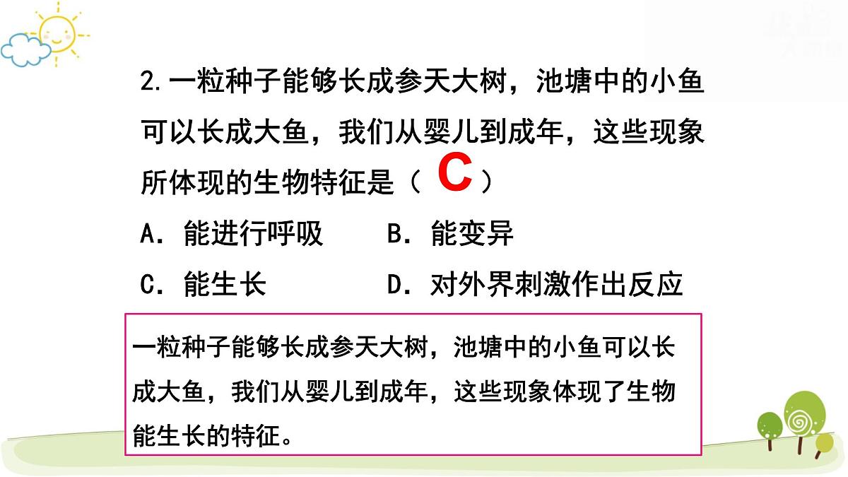 人教版七年级上册生物期末复习课件第4页