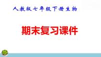 人教版七年级下册生物期末复习课件含期末综合测试