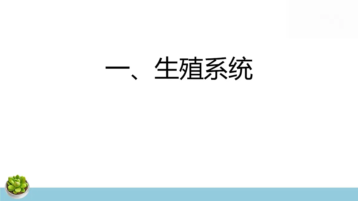 人教版七年级下册生物期末复习课件含期末综合测试第6页