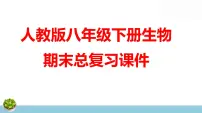 人教版八年级下册生物期末总复习课件