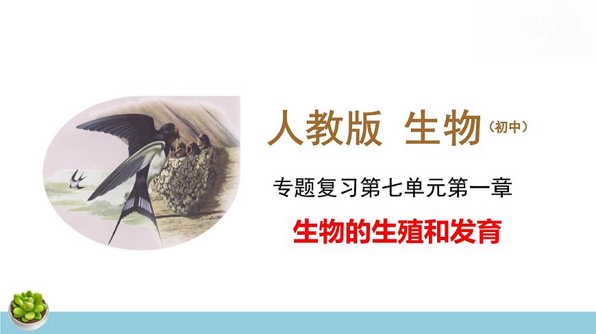 人教版八年級下冊生物期末總復(fù)習課件第5頁