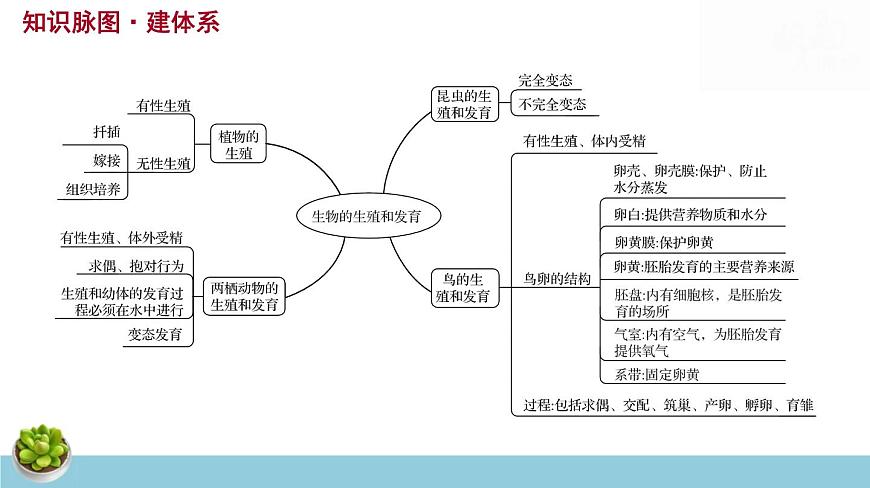 人教版八年級下冊生物期末總復(fù)習課件第6頁