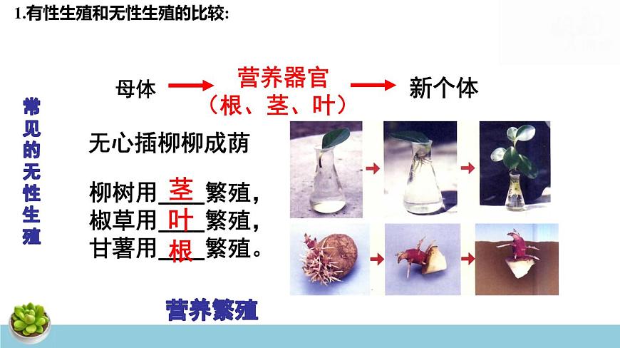 人教版八年級下冊生物期末總復(fù)習課件第8頁