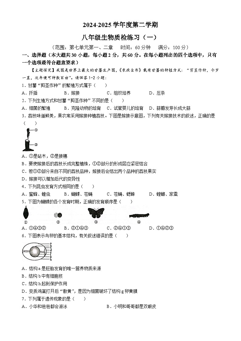 广东省茂名市电白区2024-2025学年八年级下学期3月月考生物试题第1页