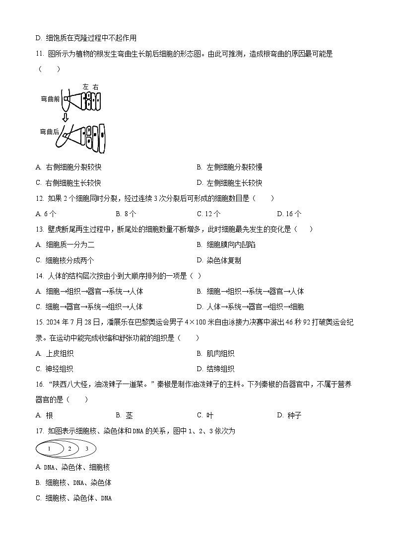 陕西省汉中市勉县2024-2025学年七年级上学期期中生物试题第3页