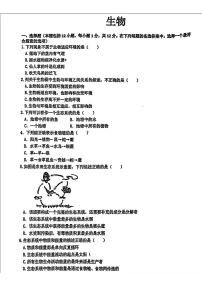辽宁省沈阳市南昌初级中学2024-2025学年七年级下学期4月份月考生物试题含答案