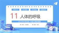 专题11 人体的呼吸（课件）-2025年中考生物一轮复习